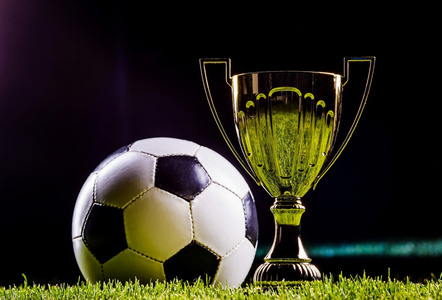 致的高水平 致的高水平