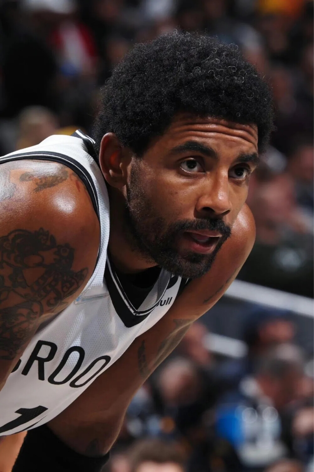 就是经典的 就是经典的