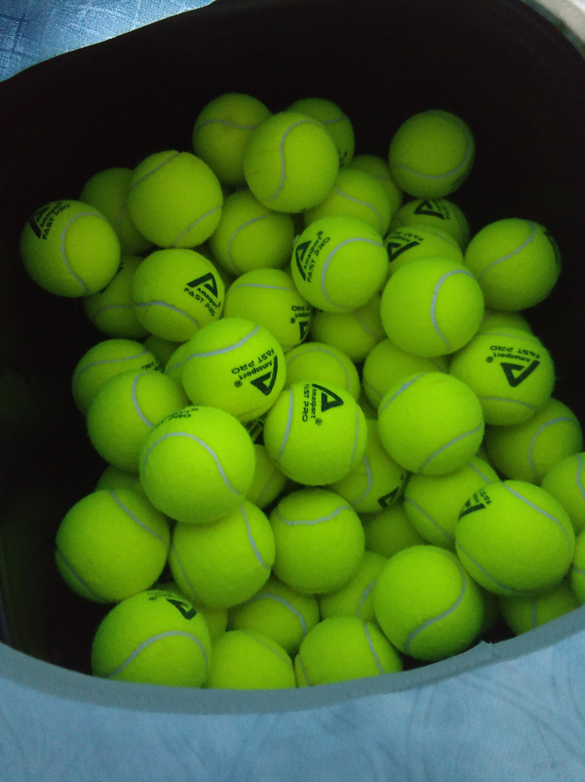 李月汝的崛 李月汝的崛